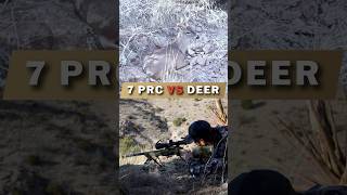 7 PRC VS DEER [upl. by Zuleika397]