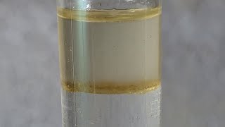 Freebase Reaction of Phenylethylamine HCl PEA [upl. by Aisenet675]