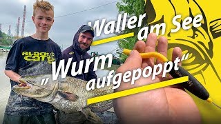 Auf Wels am See und Teich  TauwurmPop Up Montage  Wallerangeln in Deutschland [upl. by Nagorb]