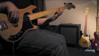 zZoundscom Moog Minifooger Family with a Bass Guitar Demo [upl. by Elli]