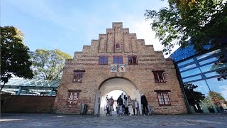 Flensburg  Zwischen Himmel und Förde  Tourismus [upl. by Cordell]