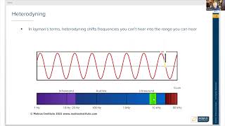 A Brief Introduction to Heterodyning [upl. by Woermer]