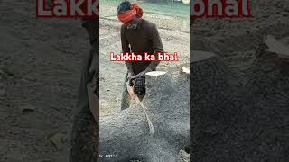 Lakkha ka bhai aatank macha Raha hai shorts viralvideo funny [upl. by Norra]