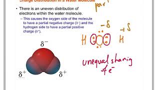 Solute solute and solute solvent interactions [upl. by Renba]