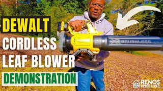 Dewalt 20V Brushless Blower Review  Leaves and Straw Demonstration [upl. by Cousins]