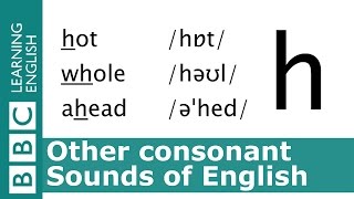 English Pronunciation 👄 Voiceless Consonant  h  hot whole and ahead [upl. by Olivann]