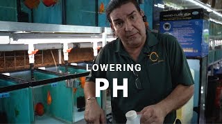 HOW TO lower PH for your Tropical Fish Tank [upl. by Htir]