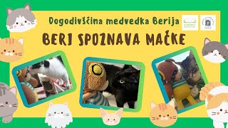 Dogodivščina medvedka Berija Beri spoznava mačke [upl. by Menell101]