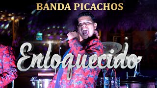 Enloquecido Banda Picachos en vivo [upl. by Jules]