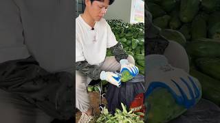 Turnover of millions from papaya cultivation 😱💯shorts youtubeshorts ytshorts shortvideo [upl. by Zelikow]