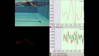 Swimming analysis with Simi Motion [upl. by Kaehpos336]