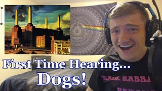 College Students FIRST TIME Hearing  Dogs  Pink Floyd Reaction  Animals Full Album Reaction [upl. by Dragone]