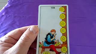 Eight of pentacles Tarot card meaning [upl. by Micco]