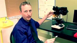 Keiser Health Care How to Use a Fluorescence Microscope [upl. by Levitt549]