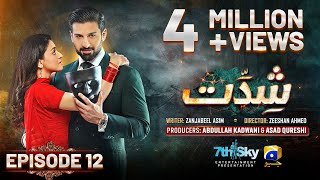 Shiddat Episode 12 Eng Sub  Muneeb Butt  Anmol Baloch  19th March 2024  HAR PAL GEO [upl. by Rochelle]