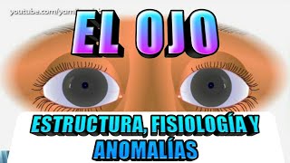 El Ojo  Estructura Fisiología y Anomalías [upl. by Asirrac191]