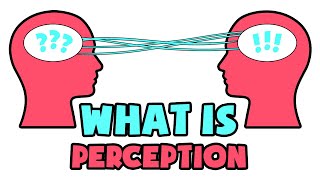 What is Perception  Explained in 2 min [upl. by Melamie603]