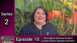 S2 E10 Freyas Tropical Garden Birmingham Botanical Gardens Yvonnes Plants Bananas and more [upl. by Wentworth475]