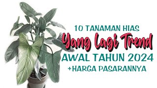 10 Tanaman Hias Yang Lagi TREND AWAL TAHUN 2024 [upl. by Anaej]