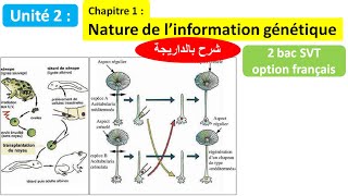 Nature de linformation génétique svt 2 bac svt biof شرح بالداريجة [upl. by Rossi]