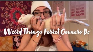 Weird Things Ferret Owners Do [upl. by Elbertine842]