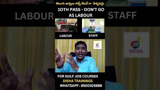 GULF LABOUR VS STAFF ACCOMODATION shorts ytshorts SonyMusicSouth [upl. by Mellette]