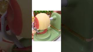 This is the way you should cut an apple For your kids [upl. by Ynohtona]