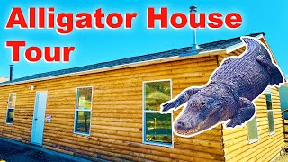 Alligator House FULL TOUR [upl. by Slaby]