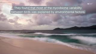 The gut mycobiome in wild Seychelles warblers is shaped by the environment and the immune system [upl. by Haneekas871]