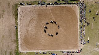 Weinzierls Pferdefestival 2023 Magie Leidenschaft und unvergessliche Momente [upl. by Nigrom453]