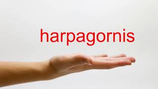 How to Pronounce harpagornis  American English [upl. by Kent]