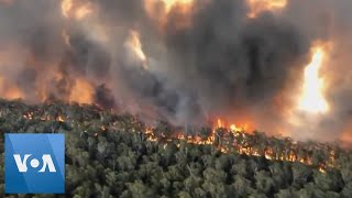 Aerial Footage Shows Scale of Fires in Australia [upl. by Lodie]