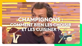 Champignons  comment bien les choisir et les cuisiner  Laurent Mariotte [upl. by Zul]