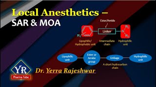 Local Anesthetics  SAR amp MOA  SAR of Local Anesthetics  YR Pharma Tube  Dr Rajeshwar Yerra [upl. by Kristianson]