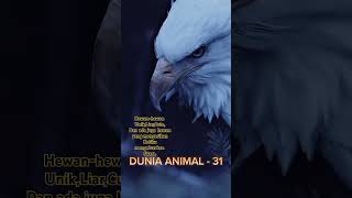 Dunia Animal part 31 animals duniasatwa nature satwaunik birds wildlife cute duniaanimal [upl. by Alrahs389]