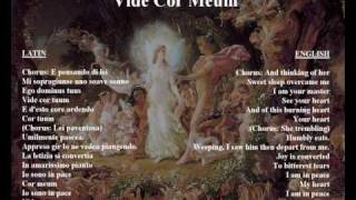 Vide Cor Meum  original libretto in Italian  latin with translation [upl. by Noteek]