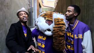 Purple Gold The Tiger in Me  LSU Black and Yellow Remix [upl. by Julia]