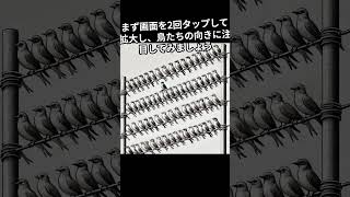 たくさんの鳥が止まっている電線の上から、1羽だけ逆向きの鳥を探せますか？ 違和感 違いを見つける 違い ショート 違う [upl. by Prior]