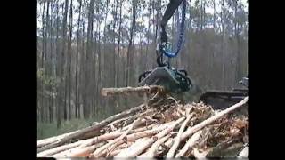 Mechanical acacia debarking harvester in Brazilia [upl. by Anuqahs]