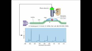 1 Whispering Gallery Mode Biosensor Early History 19942002 [upl. by Marcoux]