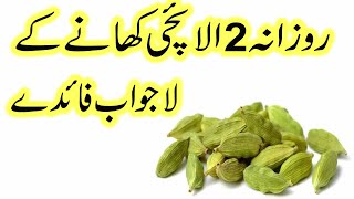 Rozana 2 Elaichi khane ke fayde  Benefits of Eating 2 Cardamom Daily [upl. by Duval]