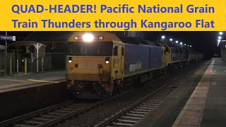 PN Quad Header on Deniliquin Grain Train  24th July 2024 [upl. by Abramo]