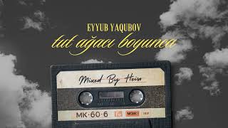 Eyyub Yaqubov  Tut Ağacı Boyunca Heiso Mix [upl. by Akiraa]