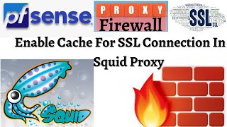 Intercepting HTTPS Traffic Using the Squid Proxy Service in pfSense  How To Cache HTTPS On Squid [upl. by Ahdar404]