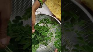 moringaleavesrecipe  munga  healthy for everyone tasty shortvideos  youtube shorts 🌿🍀🌿🍀 [upl. by Wachter737]