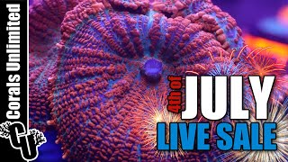 Corals Unlimited 4th of July LIVE Sale [upl. by Anemaj]