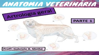 ARTROLOGIA GERAL  parte 1 Anatomia veterinária [upl. by Eimma]