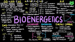 Bioenergetics  Principles of Metabolism 01  Biochemistry  PP Notes  Lehninger 6E Ch13 [upl. by Jona]