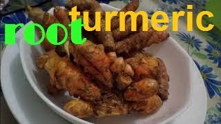 HOW TO MAKE FRESH TURMERIC ROOT INTO TEA [upl. by Giess]