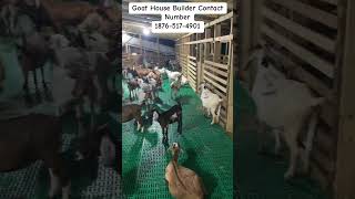 Goat House 🐐🏠 goathouse farm goatlandfarms [upl. by Colbye]